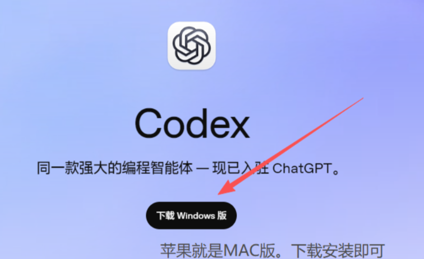 选择 Codex 桌面端版本