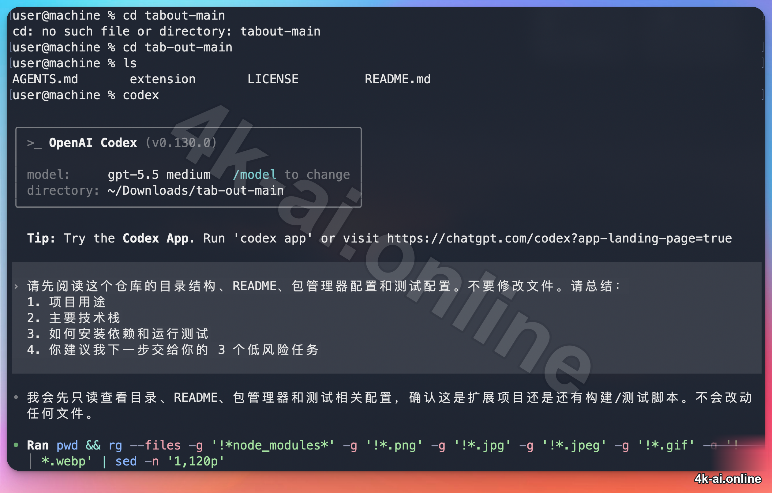 codex-cli-readonly-first-task